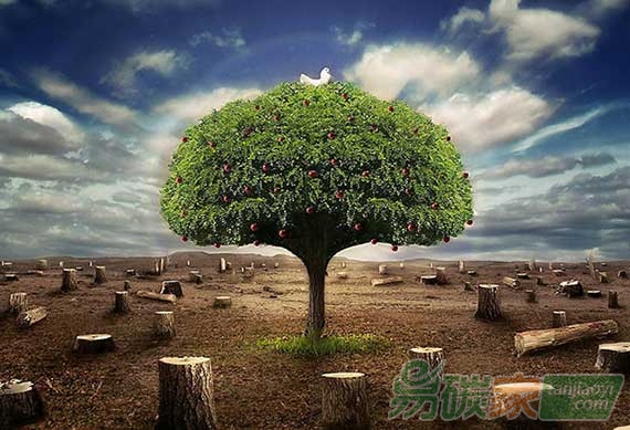 生態(tài)環(huán)境保護(hù)行政管理體制改革方案研究