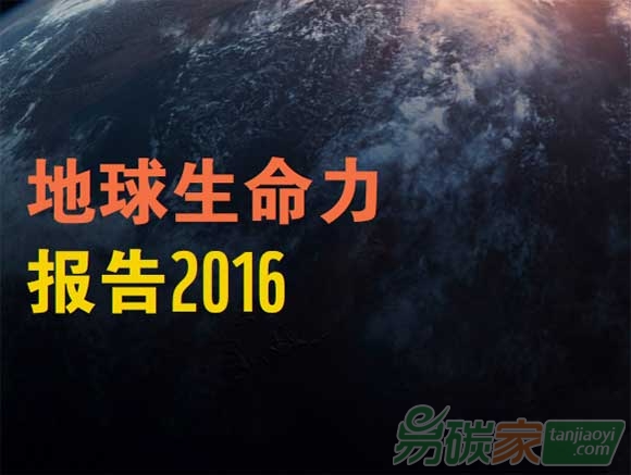 《地球生命力報(bào)告》發(fā)布2020年野生動(dòng)物種群數(shù)量將會(huì)減少2/3