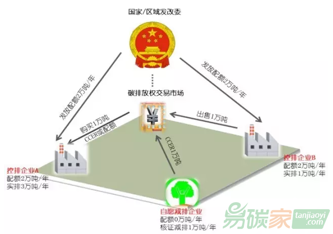 在中國的低碳政策體系中為什么碳交易正在逐漸成為一項關(guān)鍵政策的原因有哪些？