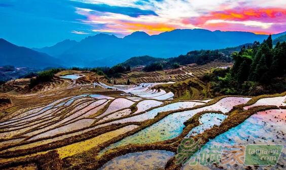人民日報：靠山吃山，做足綠色大文章