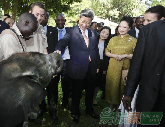 2015年12月2日，國家主席習近平在津巴布韋考察野生動物救助基地。新華社記者蘭紅光攝