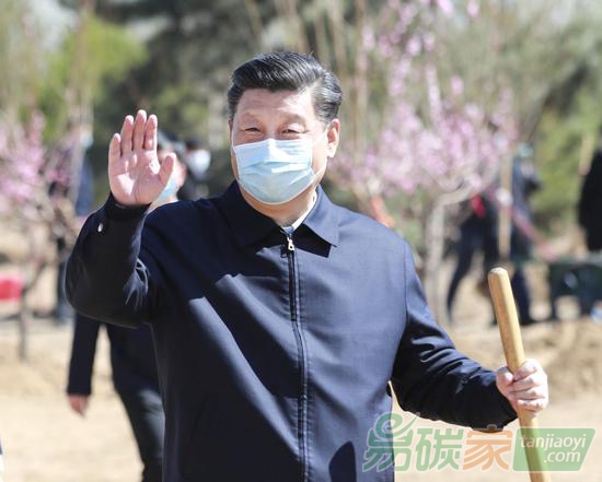 2020年4月3日，黨和國家領導人習近平、李克強、栗戰(zhàn)書、汪洋、王滬寧、趙樂際、韓正、王岐山等來到北京市大興區(qū)舊宮鎮(zhèn)參加首都義務植樹活動。這是習近平拿起鐵鍬走向植樹地點，向正在植樹的干部群眾揮手致意。新華社記者龐興雷攝