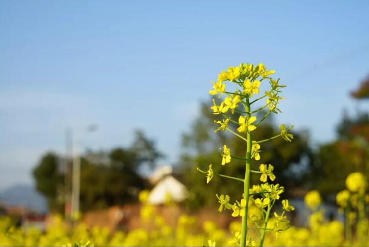 春季該如何預(yù)防控制高血壓？