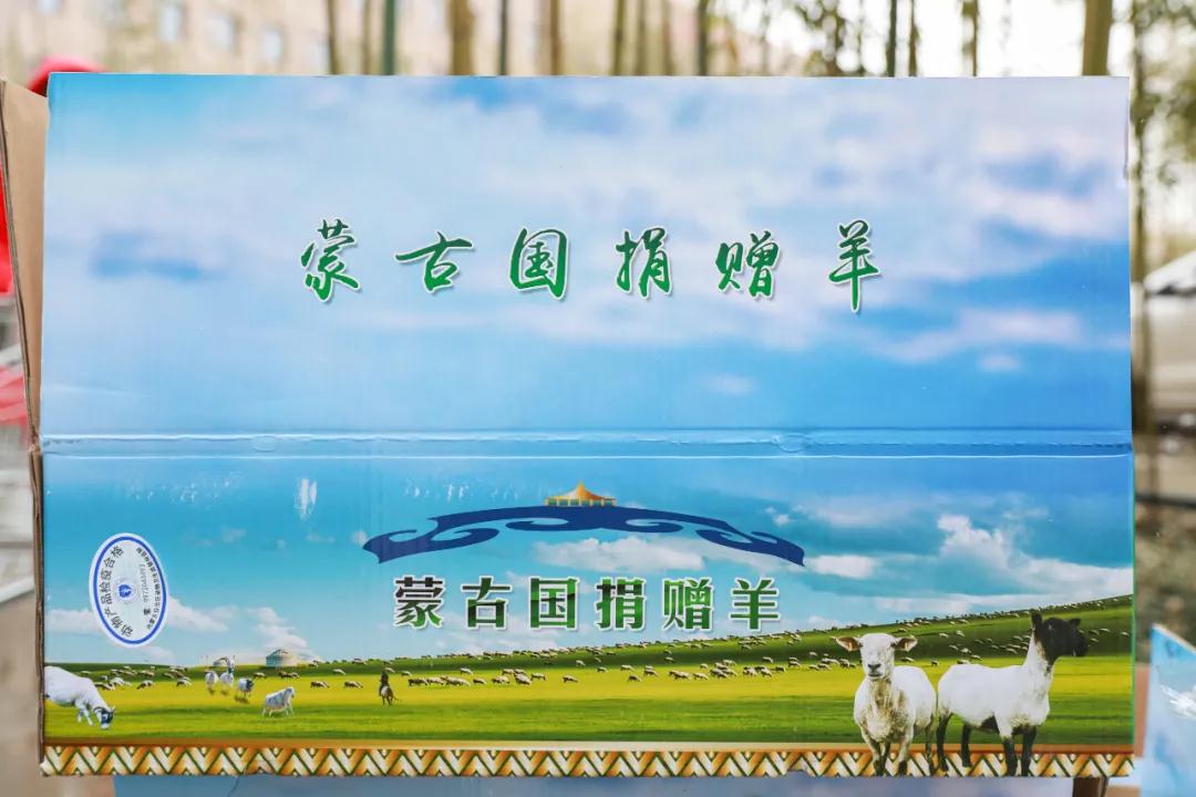 援鄂醫(yī)療隊：“暖羊羊”來啦！