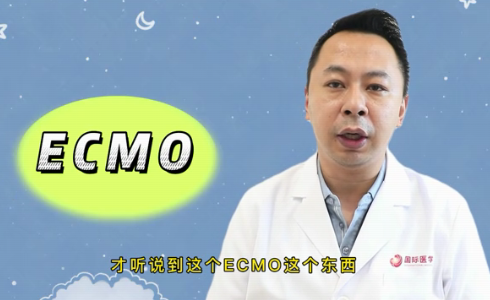 什么是ECMO？