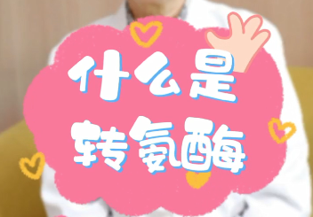 【名醫(yī)面對面之消化100問】什么是轉氨酶？