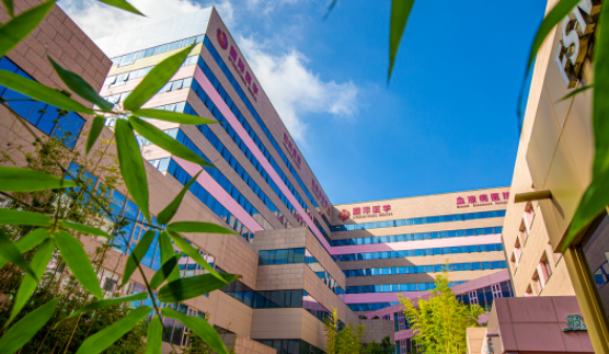 國(guó)醫(yī)四味：竹林、紫杉、桂花、銀杏，還有那……