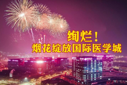 絢爛！煙花綻放國際醫(yī)學(xué)城